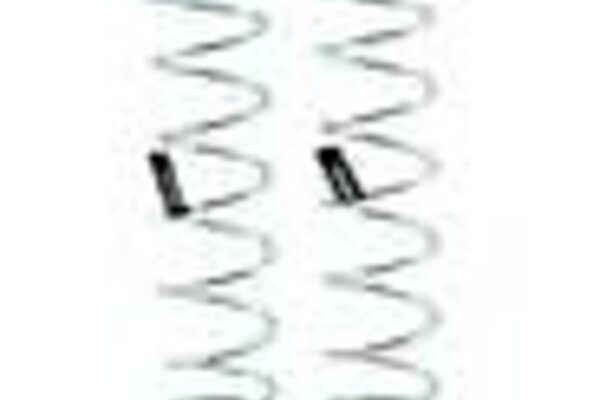 Mugen Seiki MUGE0576   Seiki Big Bore Rear Damper Spring Set (Hard - 1.5/8.25T) (2)