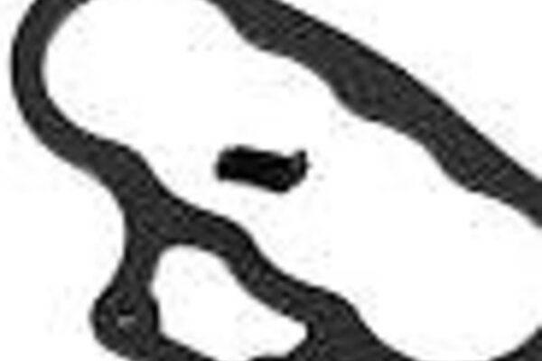 XTREME RACING XTR10011  Xtreme Racing Futaba 10PX/7PXR/4PM Carbon Fiber Carrying Handle