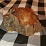 LP429 Petrified Wood