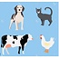 TP001 Animals