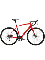 TREK Domane Al 2 Disc