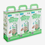 Back to the Roots ORGANIC MUSHROOM GROW KIT | Pearl Oyster
