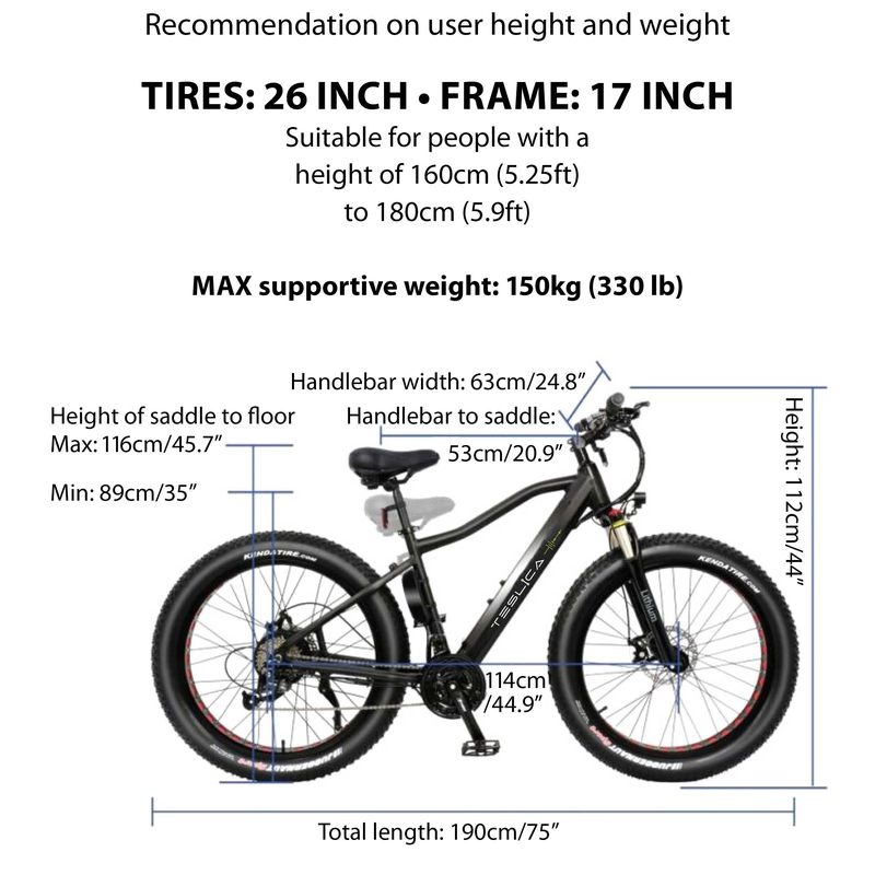 Teslica Ambition F26 Fat Tire eBike