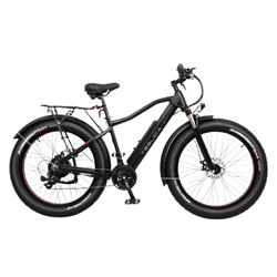 Teslica Ambition F26 eBike