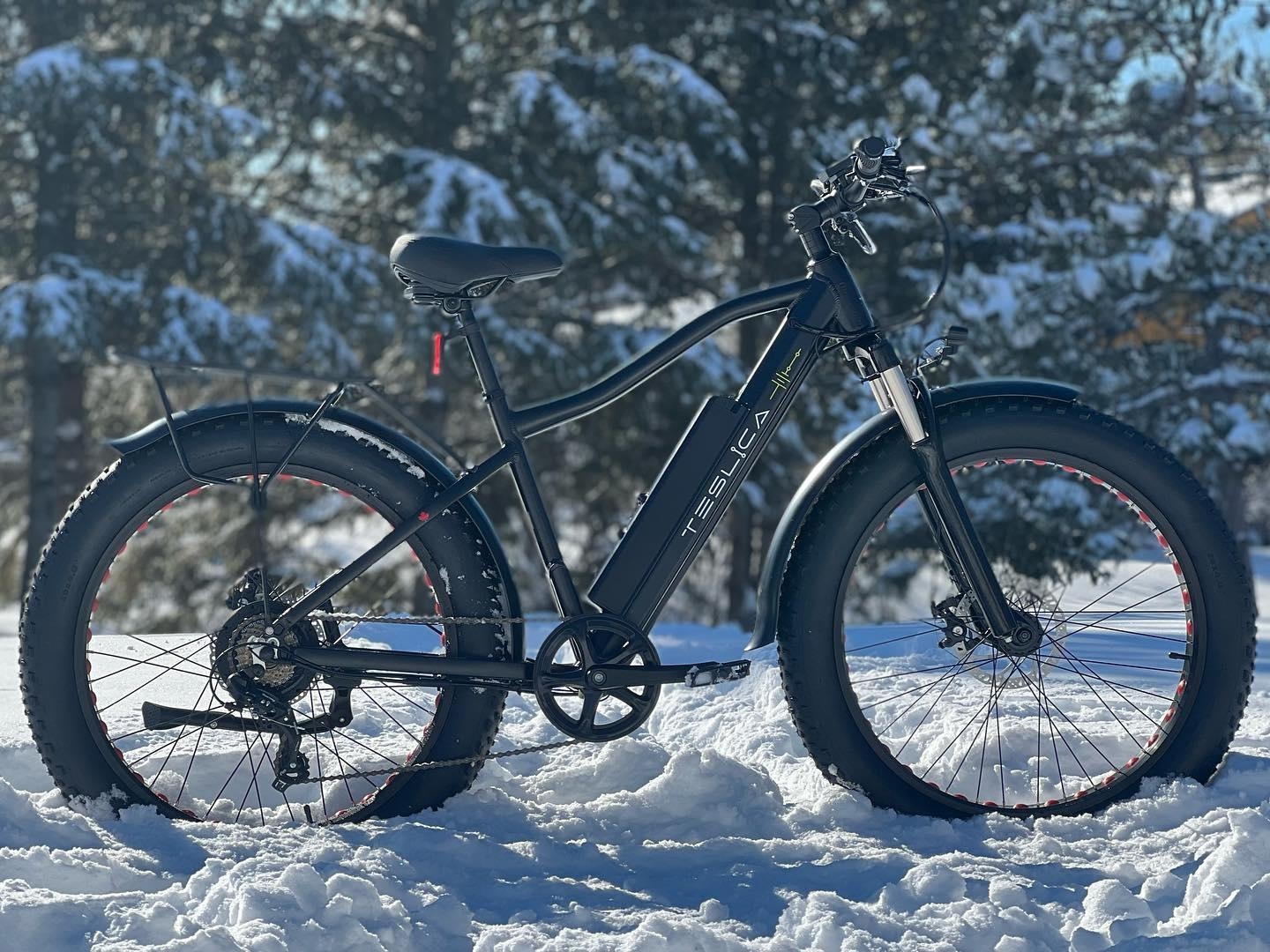 Teslica Ambition F26 Fat Tire eBike
