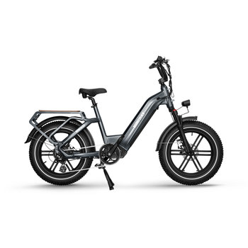 Himiway Cargo Ebike - Big Dog