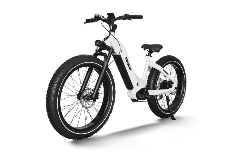 Himiway Zebra - Step Thru Fat Tire Ebike