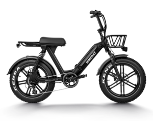 Himiway Escape Moped Style Ebike Teslica Inc