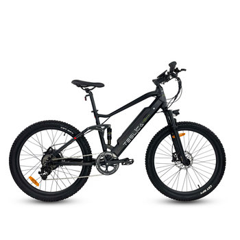 Teslica Adventure A1H eBike