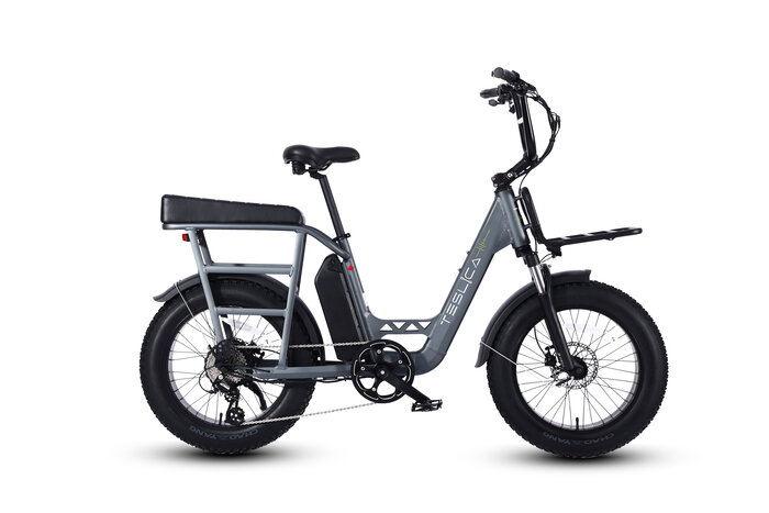 How To Make More Money With Your E-Bike In Canada