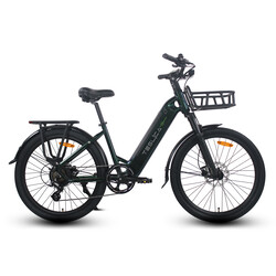 Teslica Freedom City C3H eBike