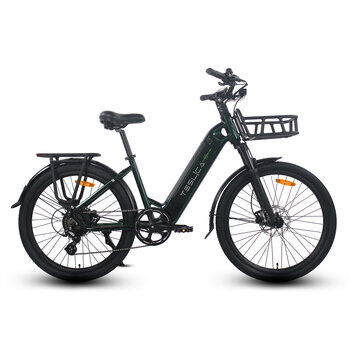 Teslica Freedom City C3H eBike