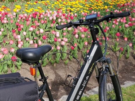 Top 6 Maintenance Tips To Get Your eBike Ready for Spring!