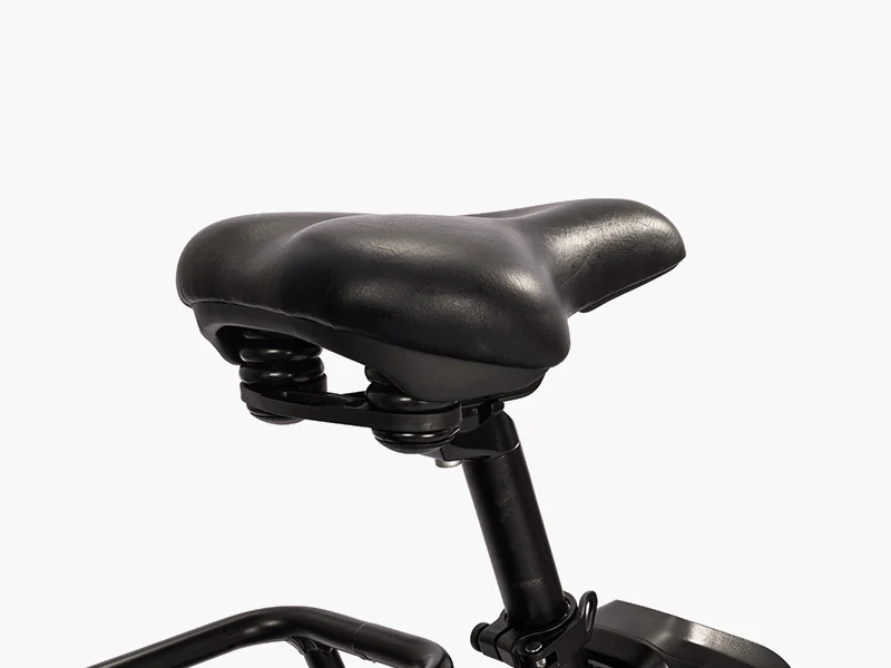 Ambition Fat Tire Elite Step-Thru eBike F27e