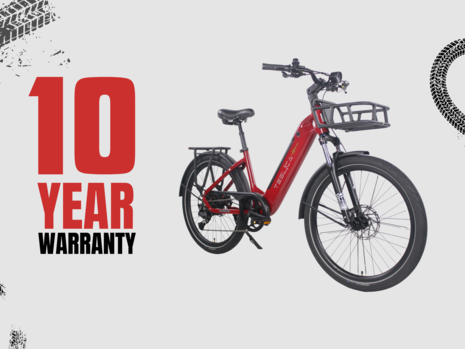 Teslica's New 10 Year Warranty