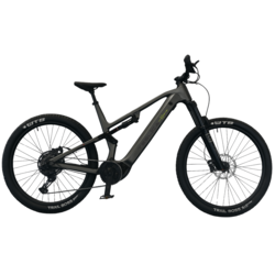 Teslica Triumph Moutinan eBike E1H