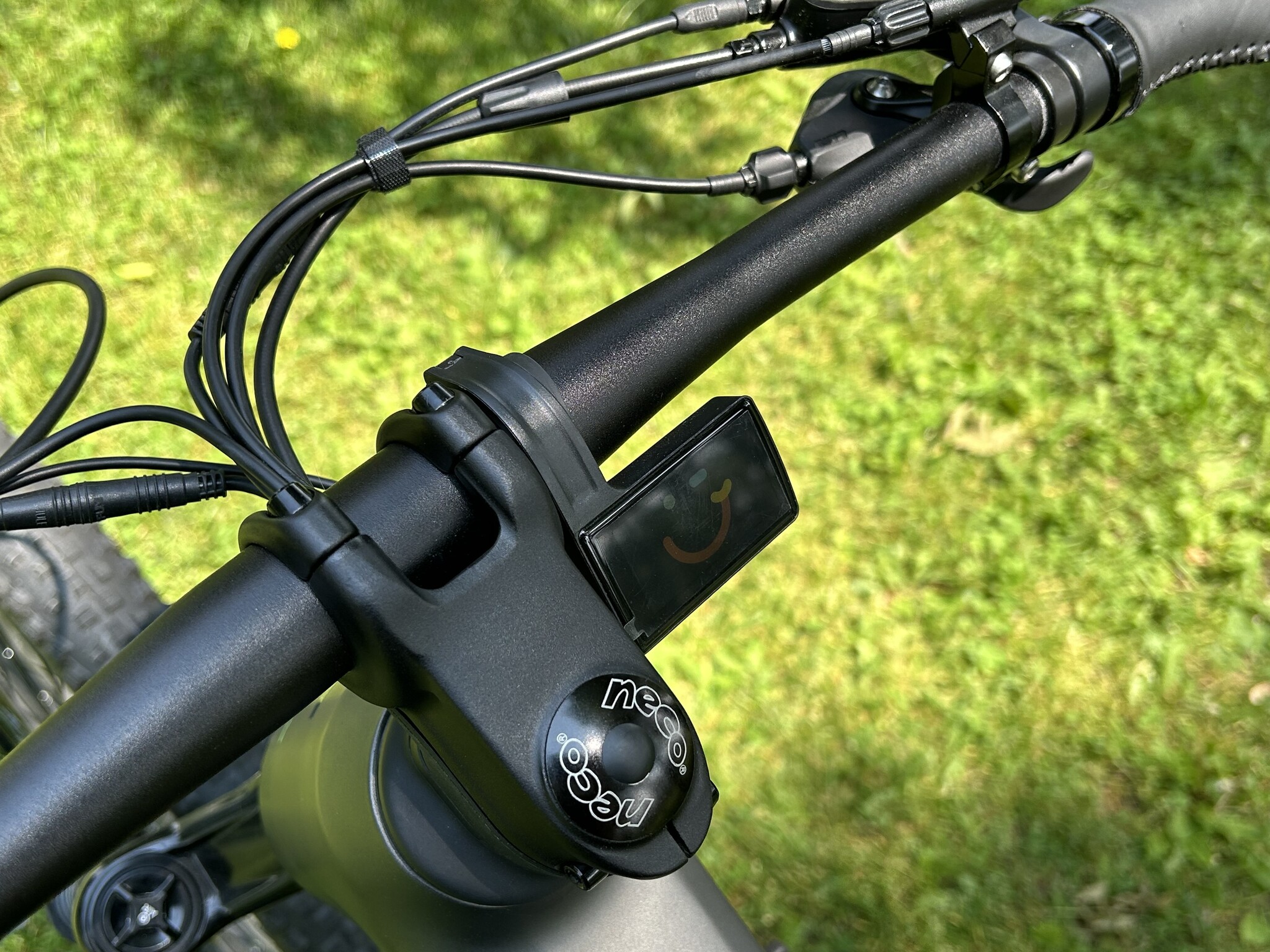 Teslica Triumph Moutinan eBike E1H