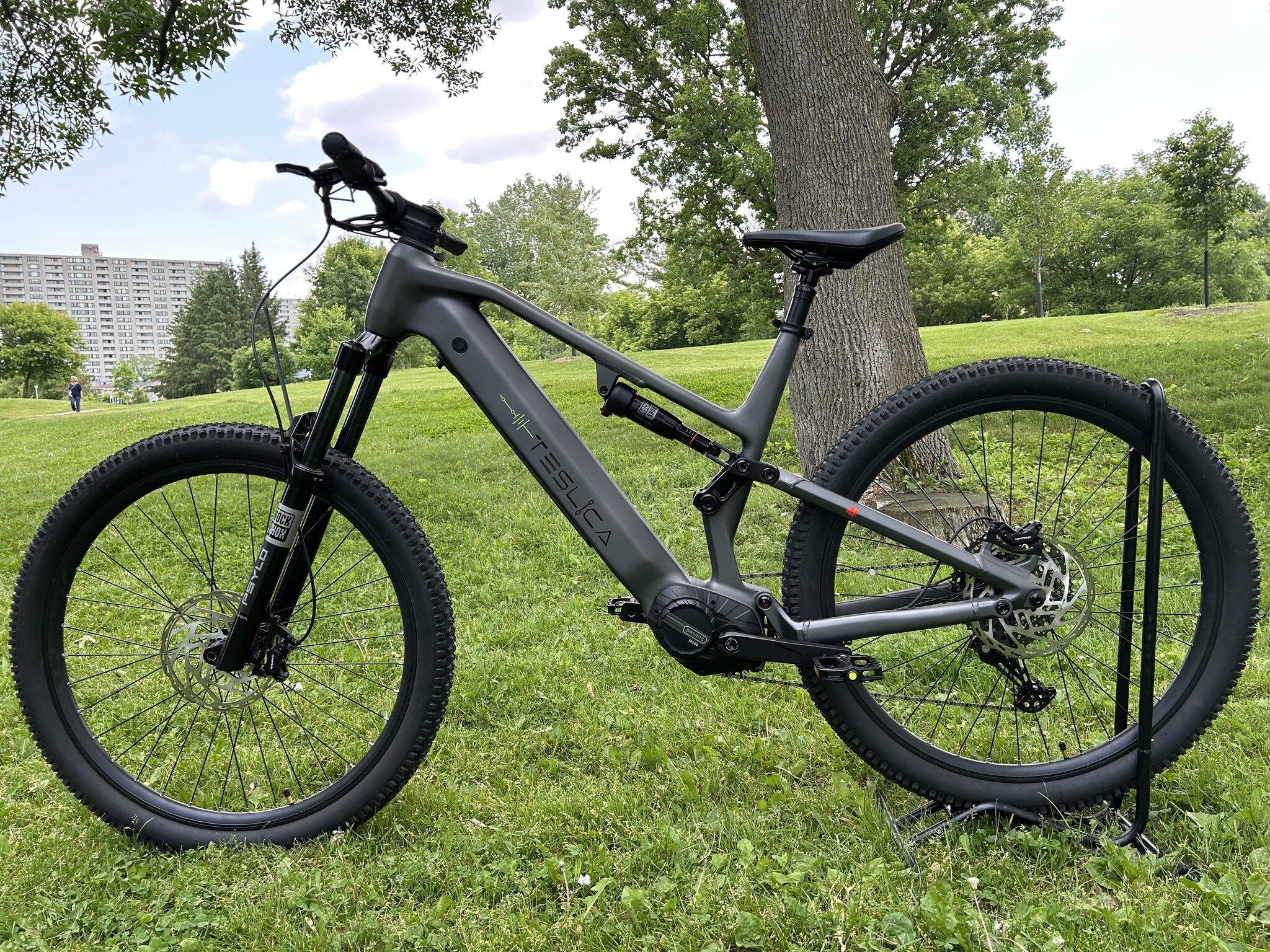 Teslica Triumph Moutinan eBike E1H