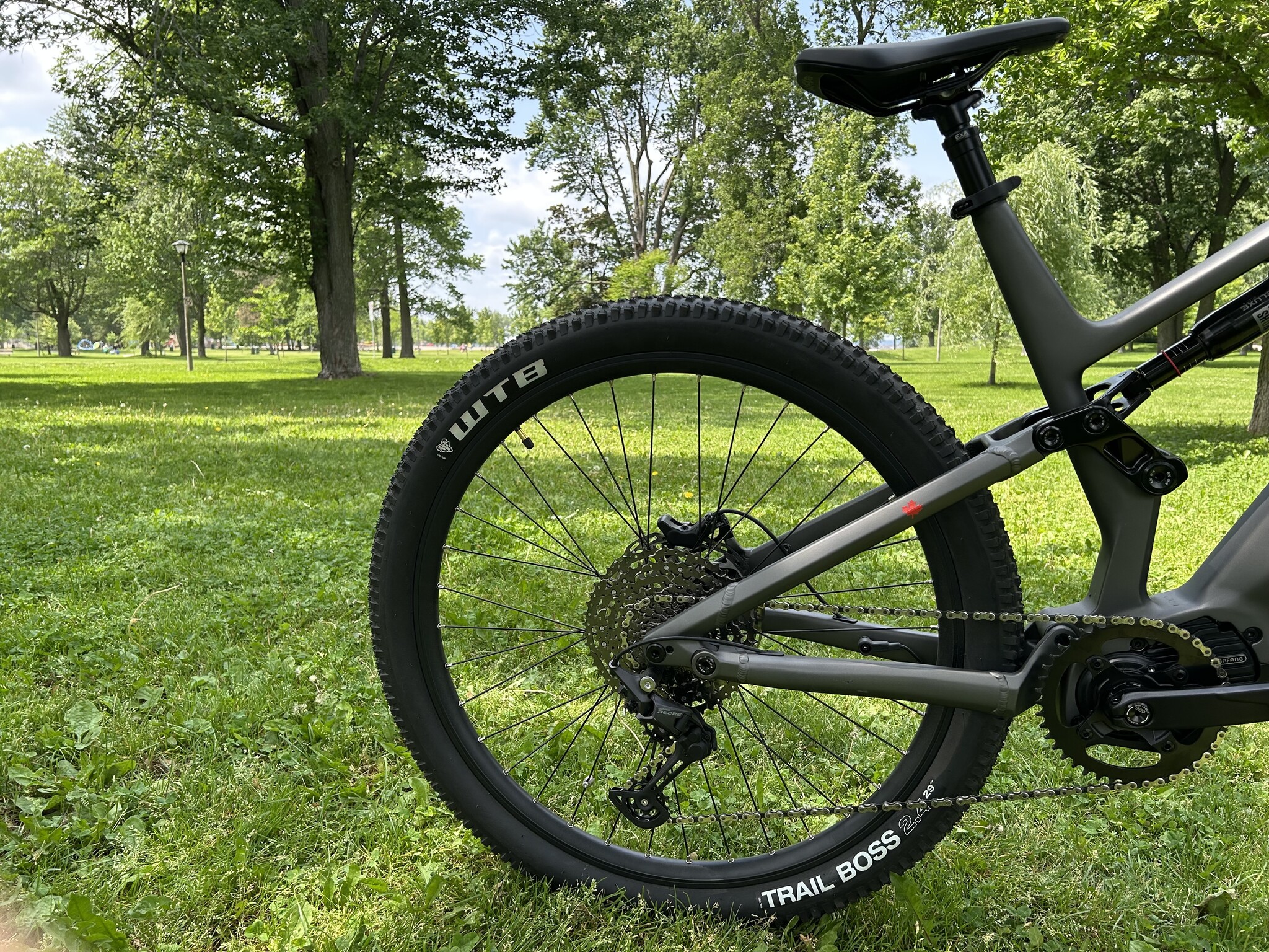 Teslica Triumph Moutinan eBike E1H