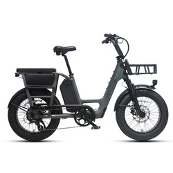 Teslica Care-Go Cargo Ebike CG2 20 Ah