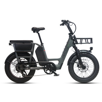 Teslica Care-Go Cargo Ebike CG2 20 Ah