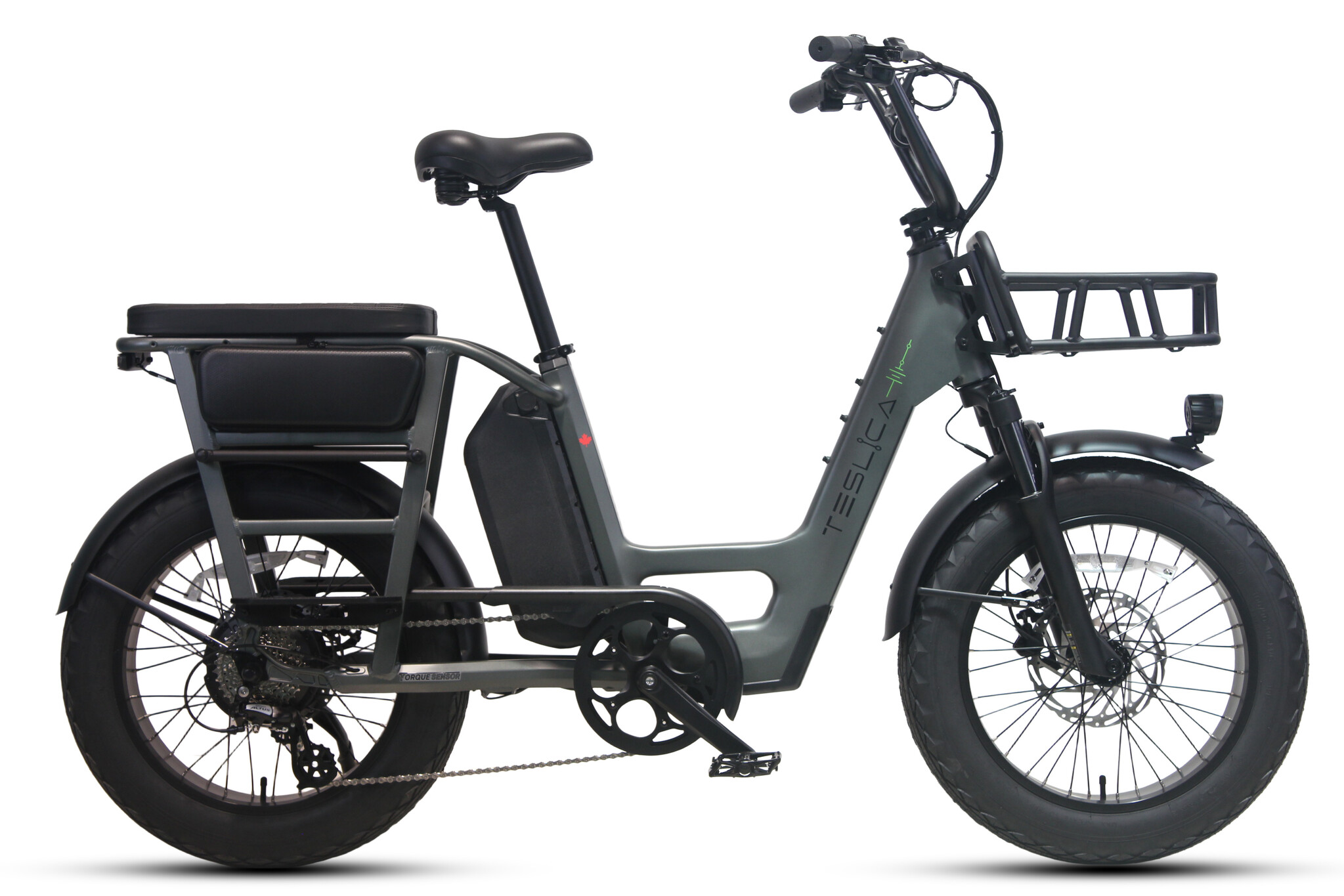Teslica Care-Go Cargo Ebike CG2 20 Ah