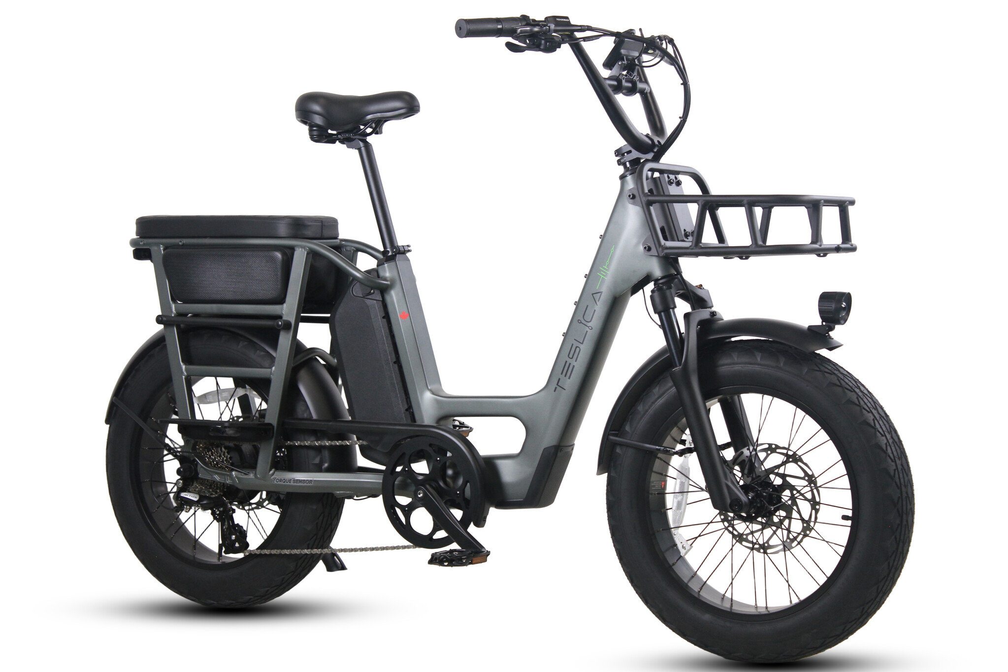 Teslica Care-Go Cargo Ebike CG2 20 Ah