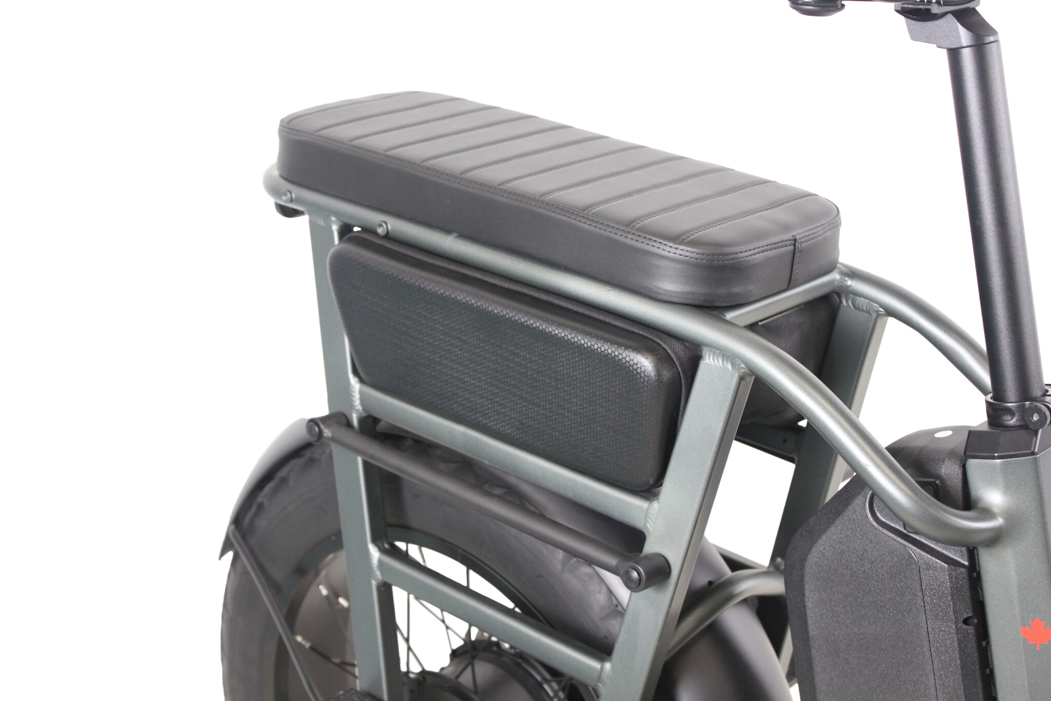 Teslica Care-Go Cargo Ebike CG2 20 Ah