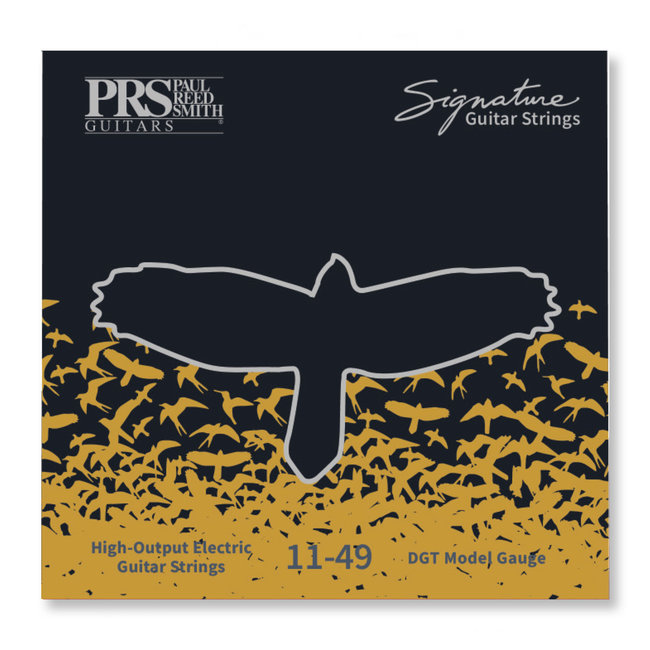 PRS Signature Strings, David Grissom .011 - .049