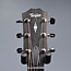 Taylor 314ce Special Edition Rosewood/Sitka Spruce Grand Auditorium Acoustic-Electric Guitar - Natural