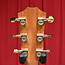 Taylor 214ce DLX Grand Auditorium Acoustic-Electric Guitar