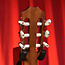 Taylor 214ce-N, Nylon-String Acoustic-Electric Guitar