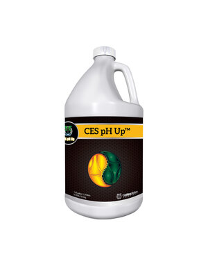 Cutting Edge Solutions CES PH Up