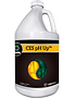 Cutting Edge Solutions CES PH Up