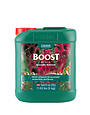 Canna Canna Boost