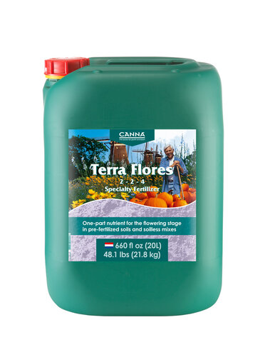 Canna Canna Terra Flores
