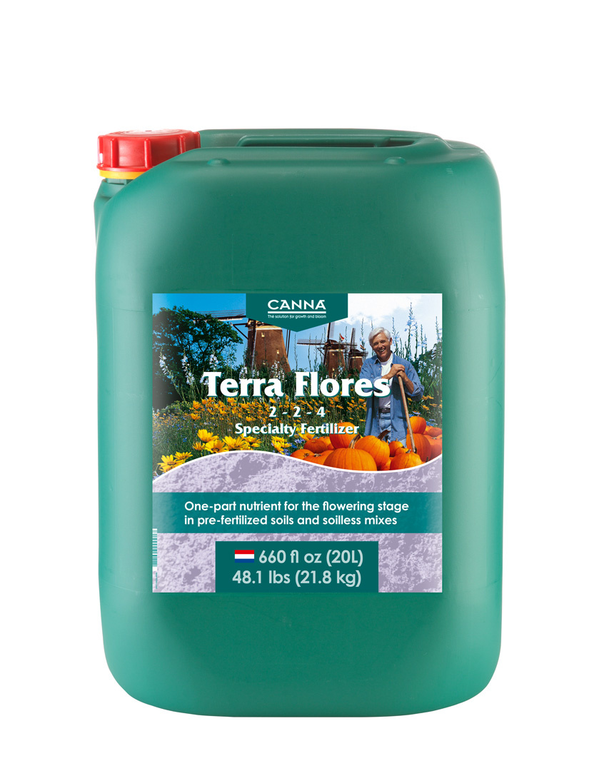 Canna Canna Terra Flores