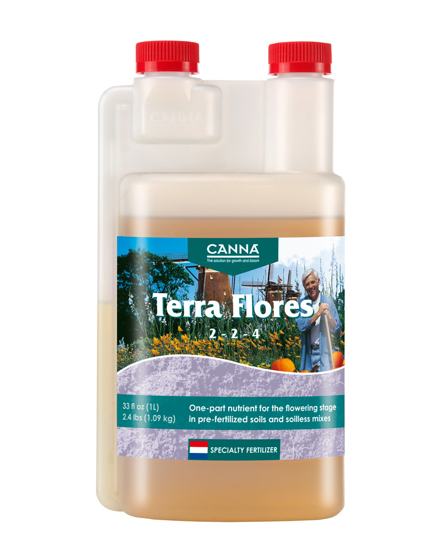 Canna Canna Terra Flores