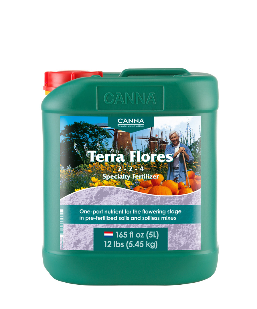 Canna Canna Terra Flores