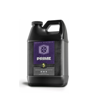 Heavy 16 Heavy 16 Prime