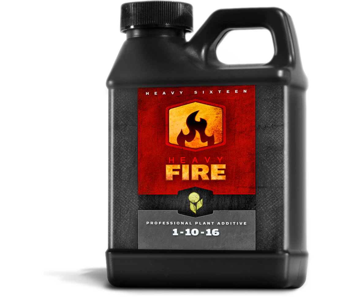 Heavy 16 Heavy 16 Fire