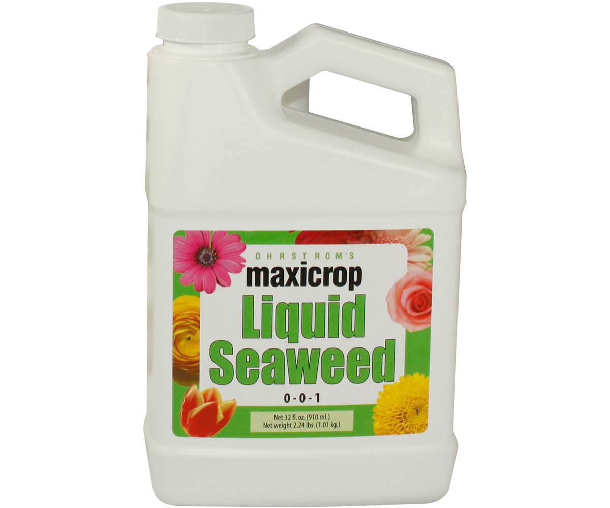 Maxicrop Maxicrop Liquid Seaweed