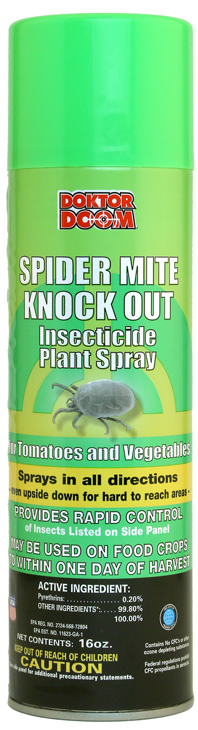 Doktor Doom Doktor Doom Knockout 16 OZ