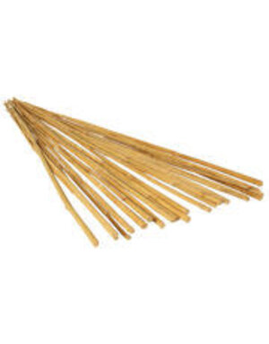 Grow!t Bamboo