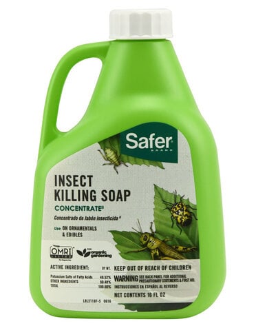 Safer Safer Insect Killing Soap 16 OZ