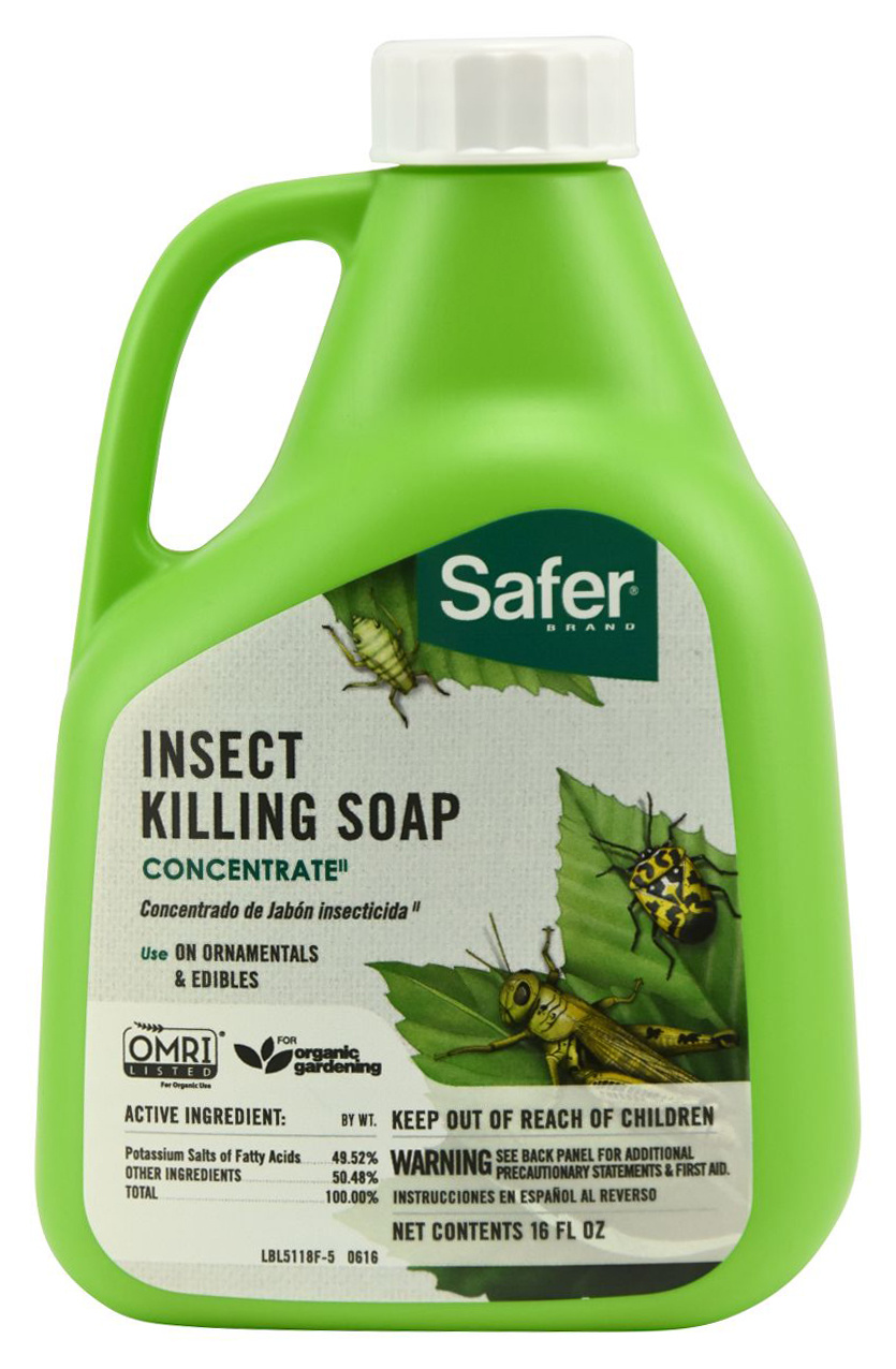 Safer Safer Insect Killing Soap 16 OZ