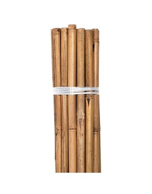 Grower's Edge Bamboo Individual 4'