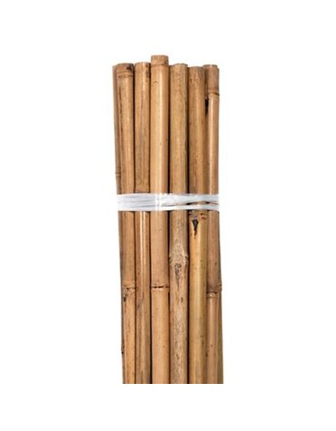 Grower's Edge Bamboo Individual 4'