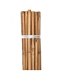 Grower's Edge Bamboo Individual 4'
