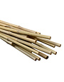 DL Wholesale Bamboo Individual 6' Individual